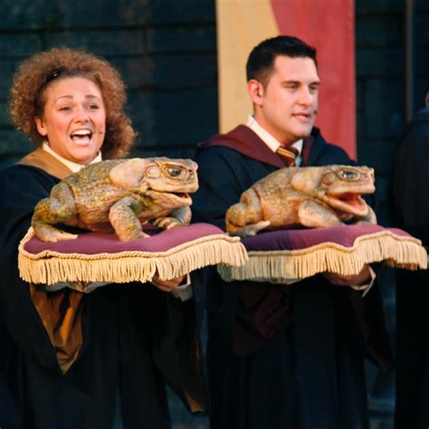 Harry Potter and the Toads Mistake Chapter 1: Toads  .